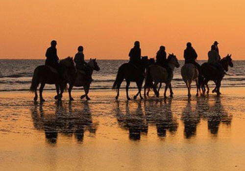 camargue villas