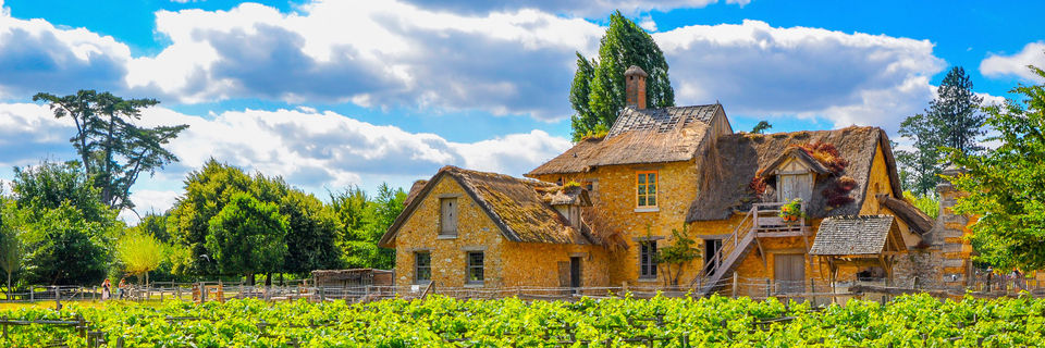 country cottage with vineyard in france