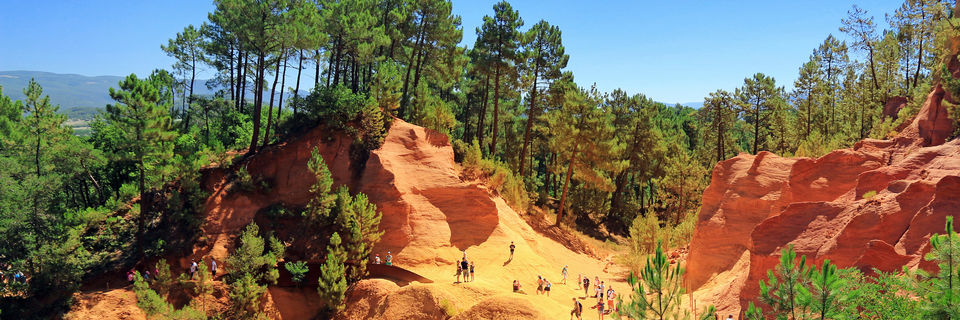 roussillion in Luberon ochre pine forests