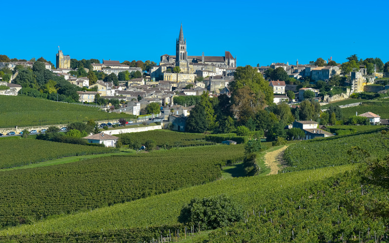 saint emilion vineyard in gironde