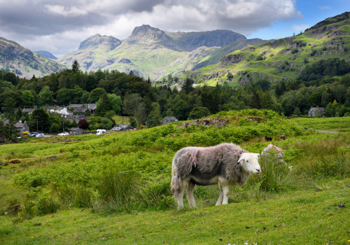 cottages in elterwater, cumbria