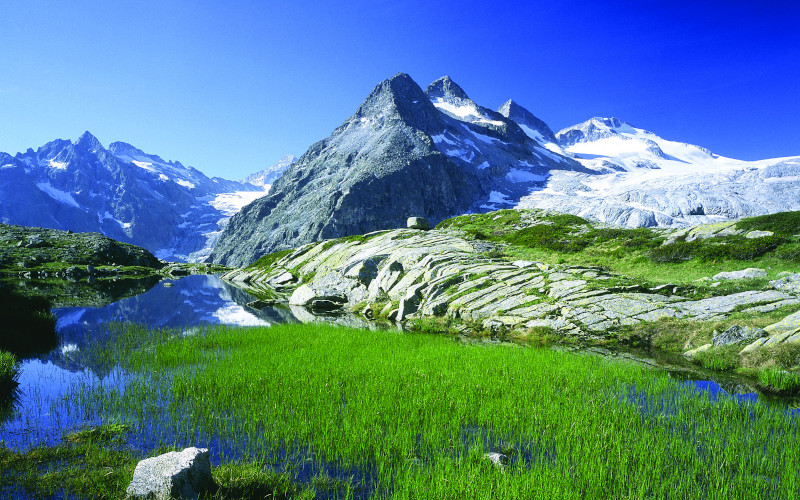 adamello brenta dolomites in summer