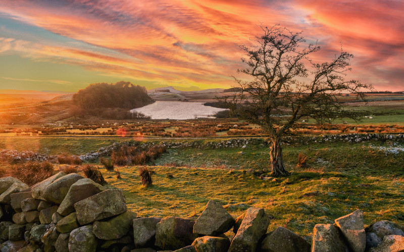 hadrians wall in northumberland