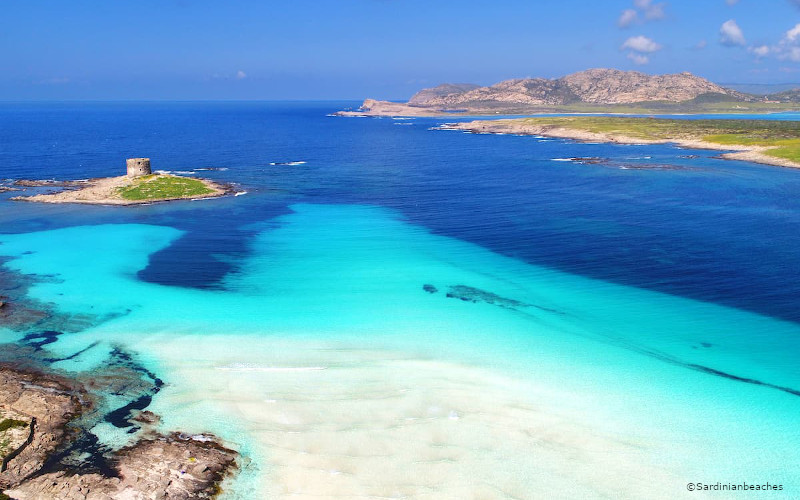 la pelosa beach stintino sardinia