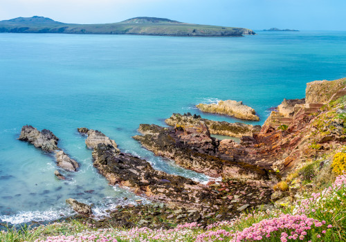 st davids cottages