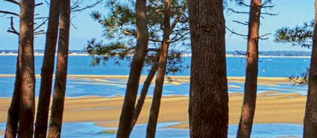 arcachon, gironde, holiday rentals looking on to the promenade cafes