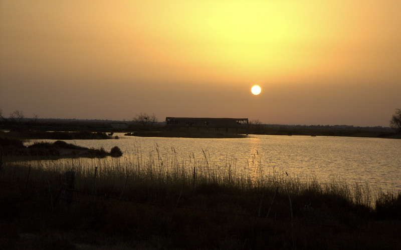 arles sunrise in the carmargue