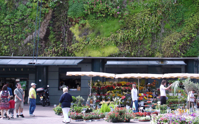 avignon market