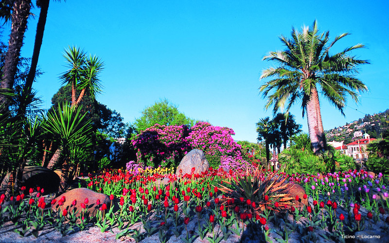 castelveccana villas with views of the borromean islands