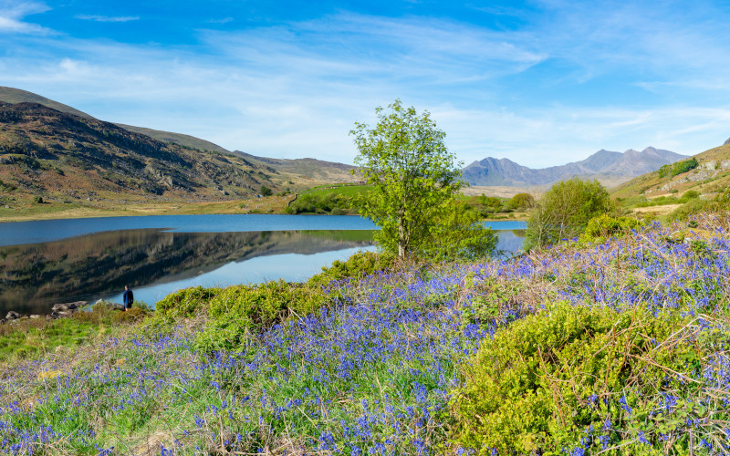 conwy mountain