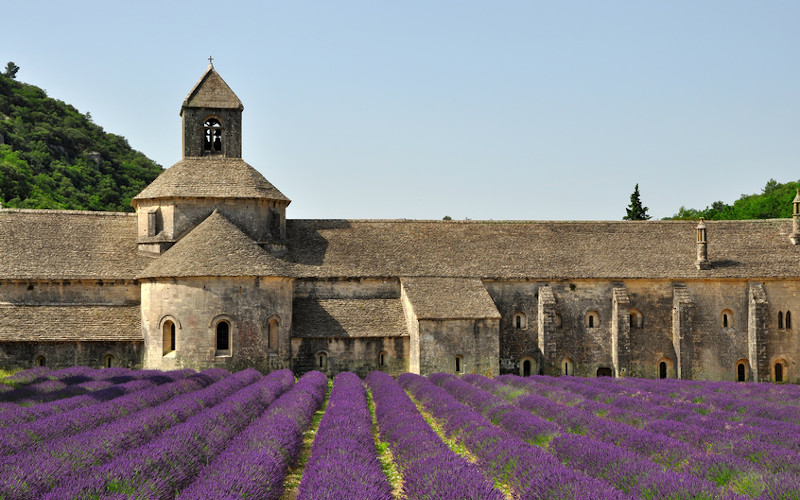 Gordes holidays, Senanque Abbey