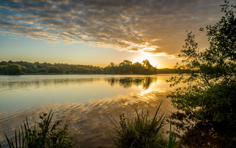 the broads norfolk