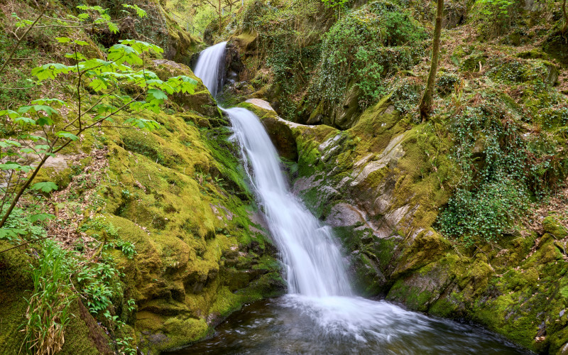 dolgoch falls tywyn